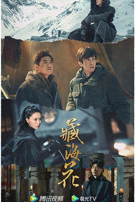 青青青青青草视频在线播放 - 蝙蝠视频海报